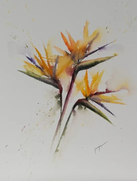 Bird of Paradise, a watercolour by Jurga Vilimaite