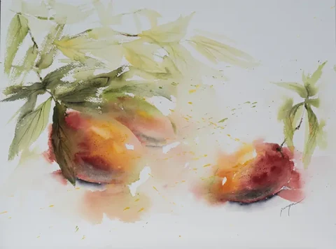 Mangoes, a watercolour by Jurga Vilimaite